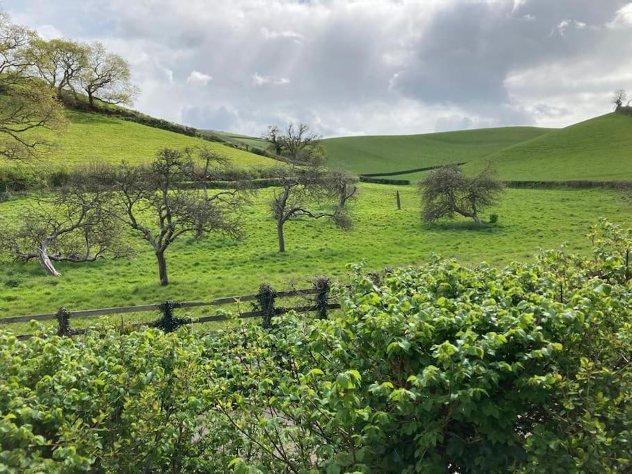 Charming Countryside Cottage Ground Floor Apartment In Combeinteignhead Devon Bishopsteignton Esterno foto