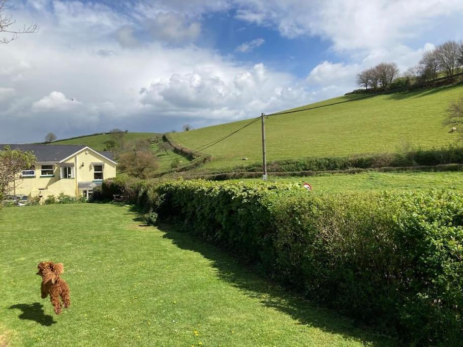 Charming Countryside Cottage Ground Floor Apartment In Combeinteignhead Devon Bishopsteignton Esterno foto